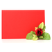 Greeting Cards for all Seasons & Occasions